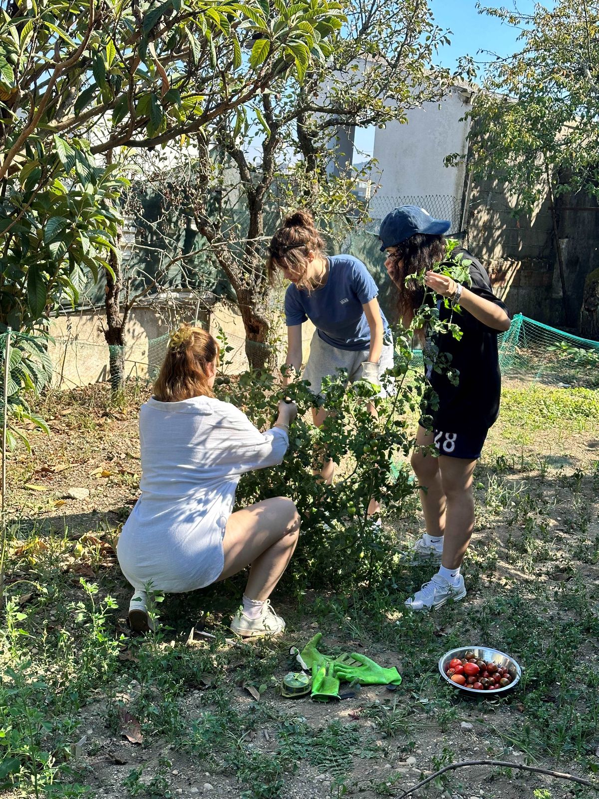 A moment from Environmental Sustainability